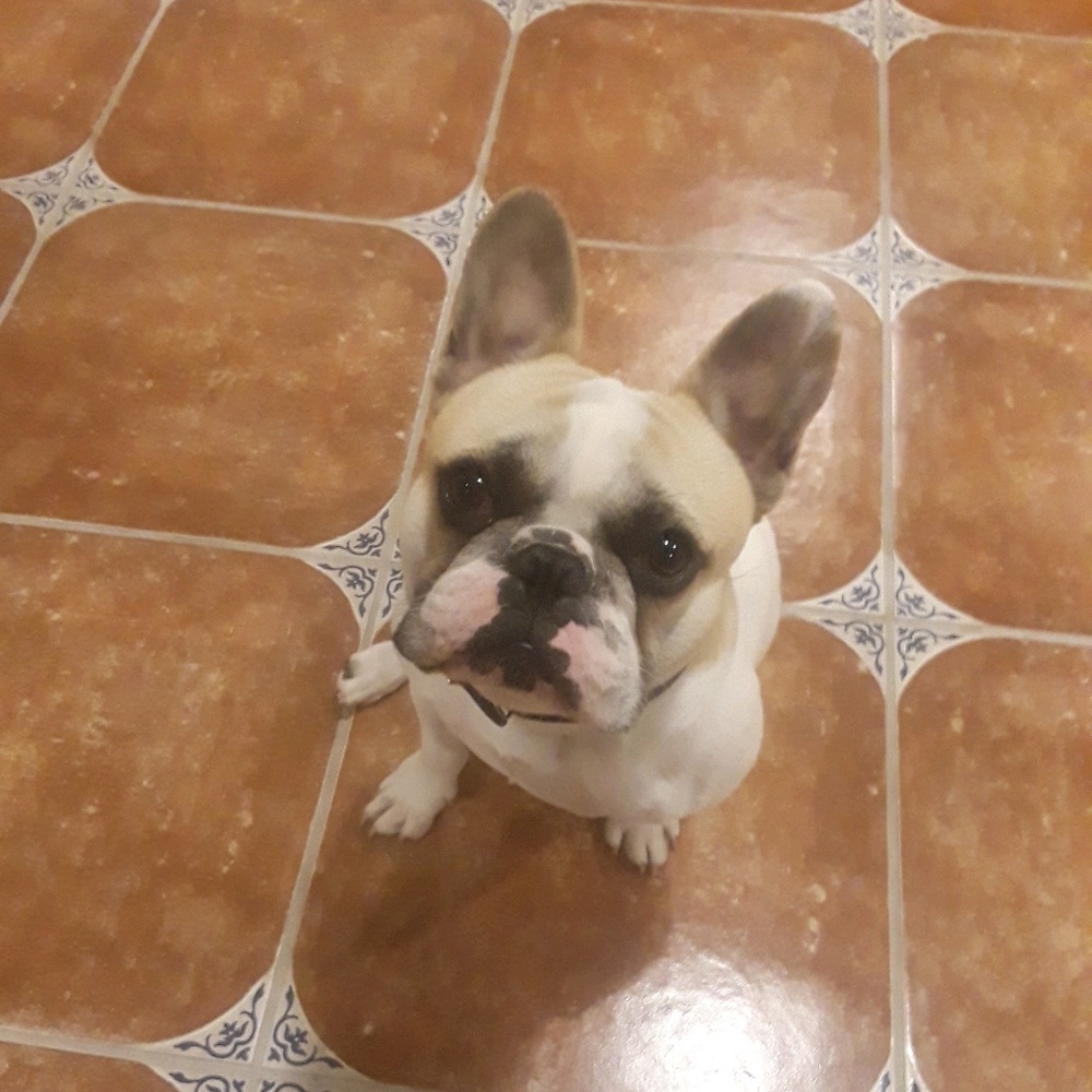 Meet your Posher, John